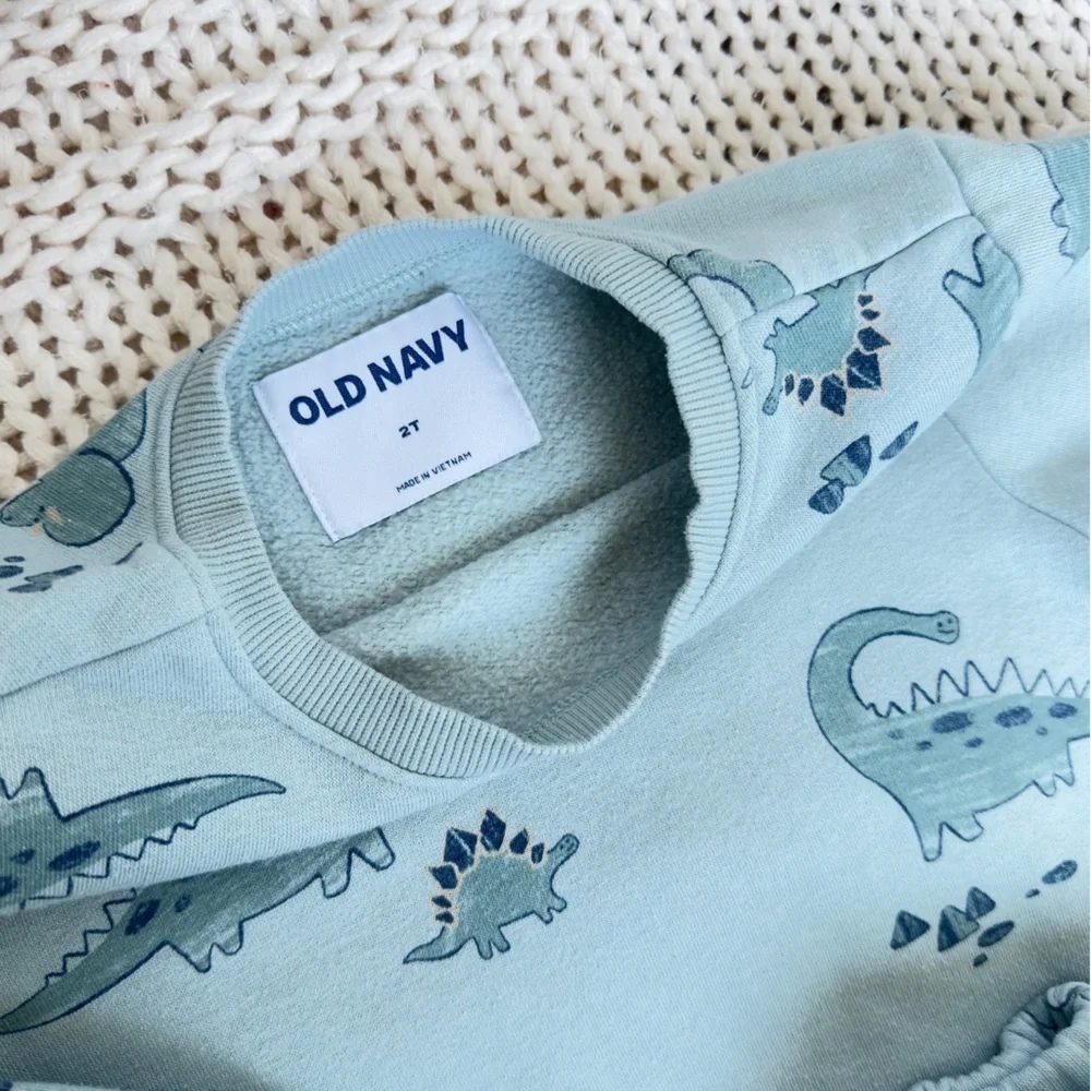 Old Navy Blue Dinosaur Jogger Unisex Toddler Set 2T